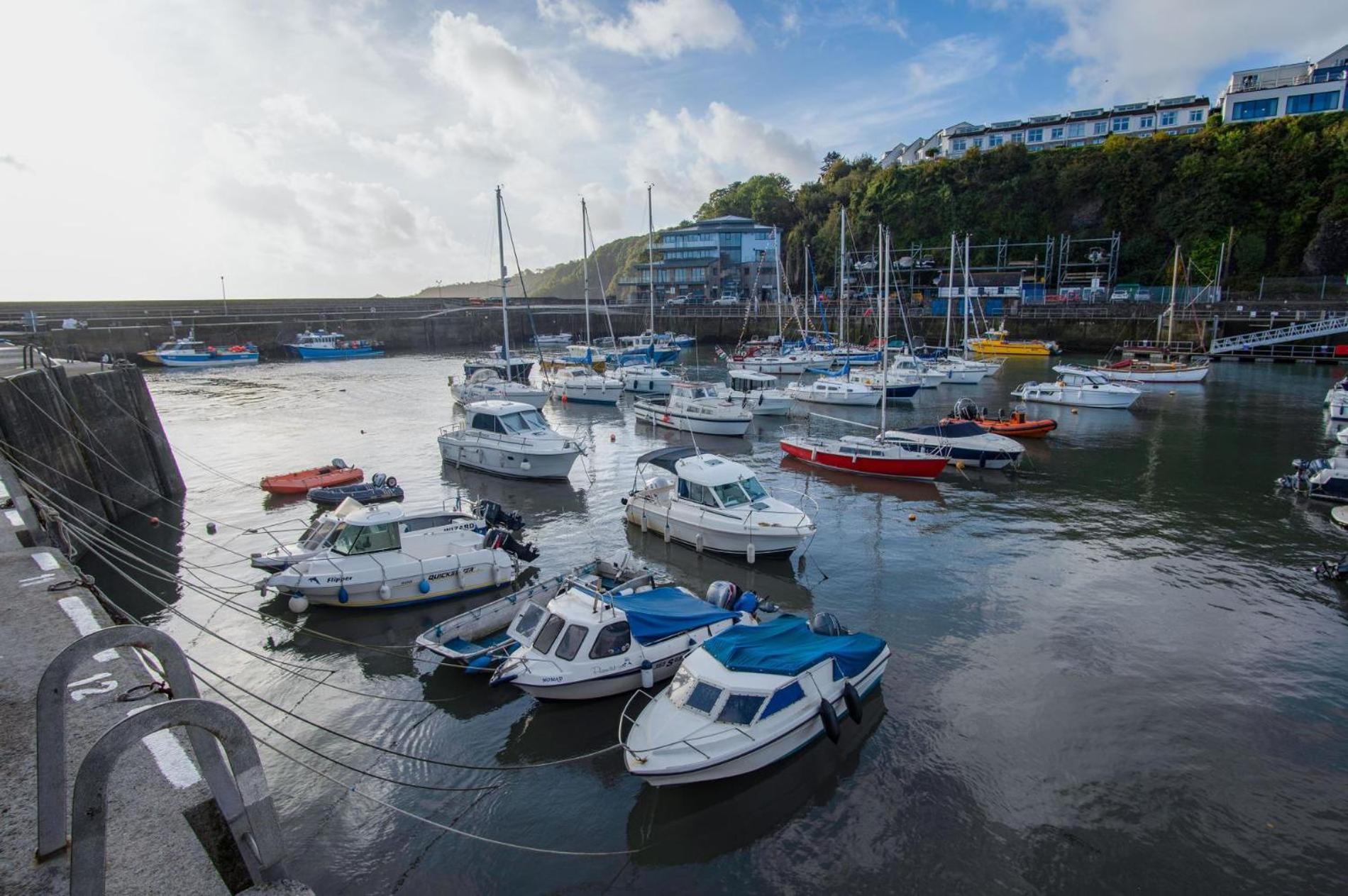 Ocean Cabins No 3 At The Square - Saundersfoot Chambre photo
