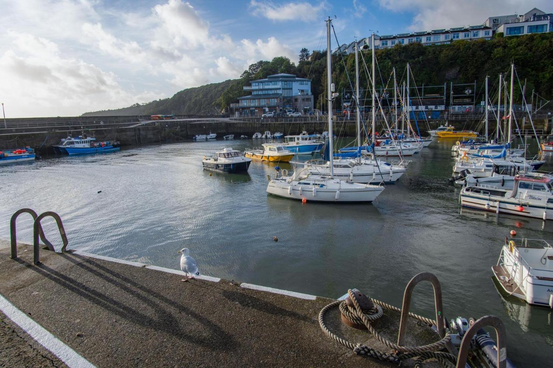 Ocean Cabins No 3 At The Square - Saundersfoot Chambre photo
